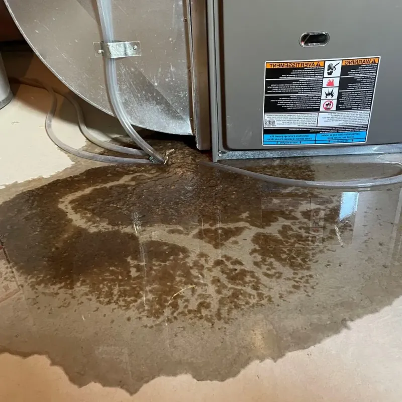 Pipe Burst and Leak Restoration in Putnam County, MO